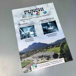 Punchi plaquette