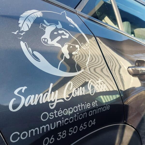 Sandy Com'Ostéo - véhicule
