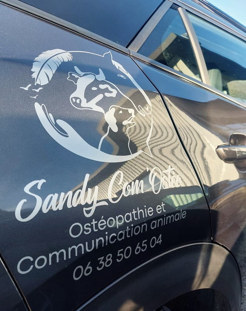 Sandy Com'Ostéo - véhicule