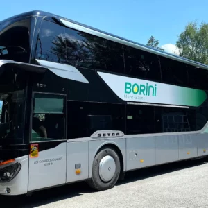 Marquage du Bus Borini