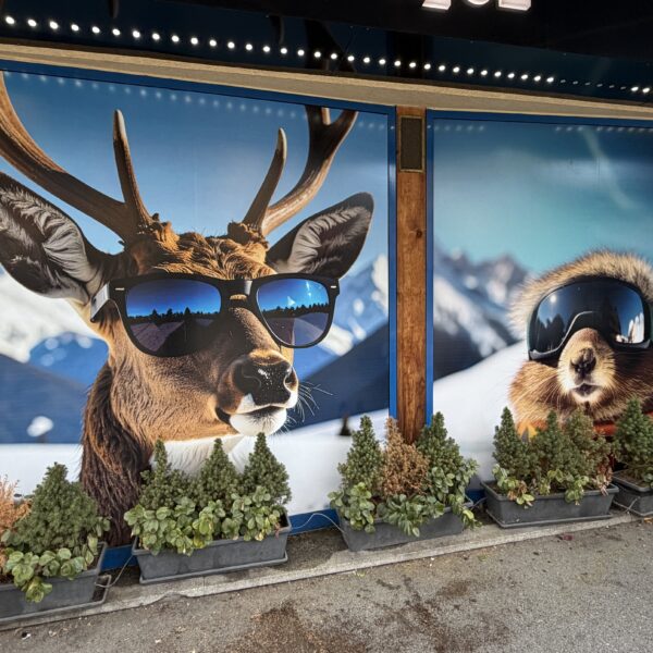 Iris Optique Chamonix