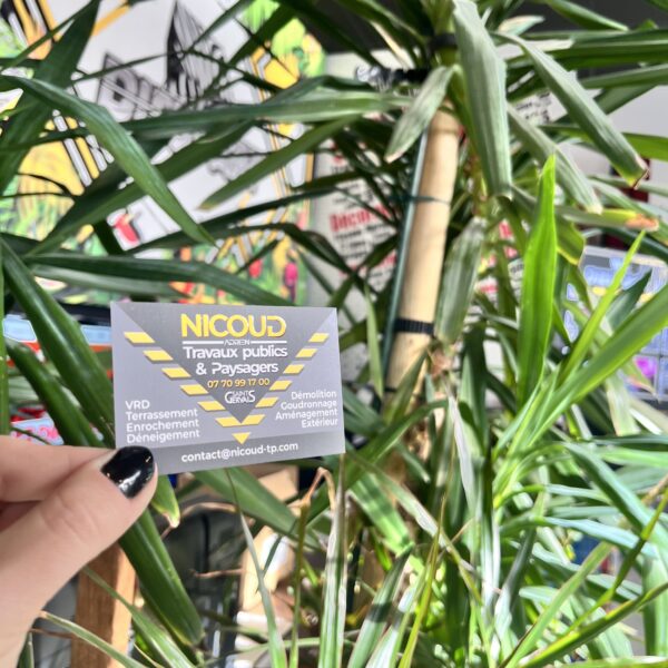 Nouvelles cartes de visite pour Nicoud TP