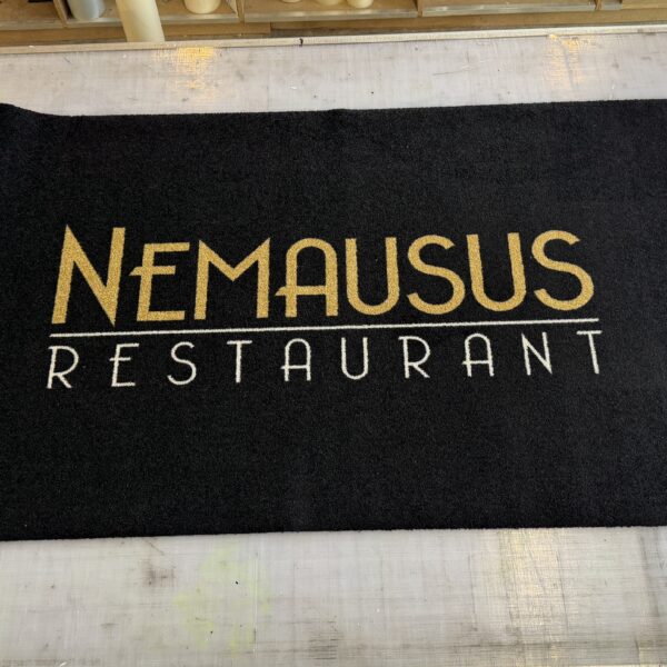 Tapis d'entrée Nemausus